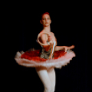 Ünnepi gálaműsor a tánc világnapja tiszteletére - Szigeti Gábor táncpedagógus emlékére