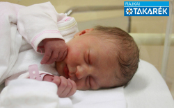 Gyarmati Fruzsina Erzsébet, Mosonmagyaróvár