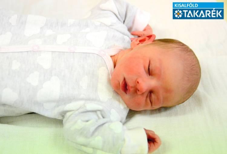 Bieber Gerda, Mosonmagyaróvár