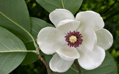 Természetes Egészség előadás sorozat