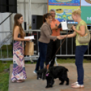 XII. Szigetköz ízei, Vármegye borai Fesztivál 3. nap