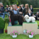 CAC kutyakiállítás (Fotó: Nagy Mária)