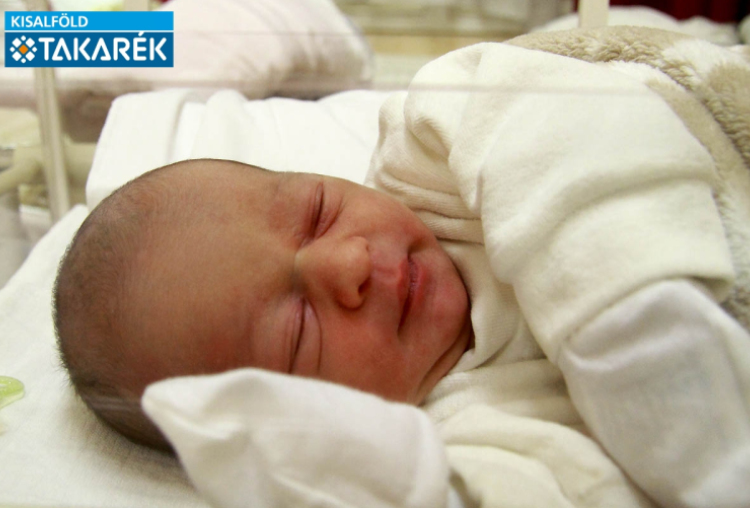 Babos Benedek, Feketeerdő