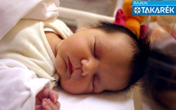 Mátyás Liza Terézia, Mosonmagyaróvár