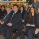 Dan Hrvata, Horvát Nap