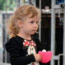 VÁROSKÖZPONTIAK NAPJA 2016, 2 nap (Fotó: Bánhegyi István)