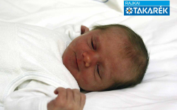 Varga Zselyke, Mosonmagyaróvár