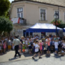 VII. Apró kezek, csodakertek Gyermek Kertépítő verseny