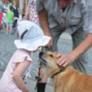 Kult-Utca fesztivál (Fotó: Nagy Mária)