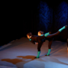 Jótékonysági műsor - Fehér és Máltai Szeretetszolgálat az Éltes iskola javára (Fotó: Horváth Attila)