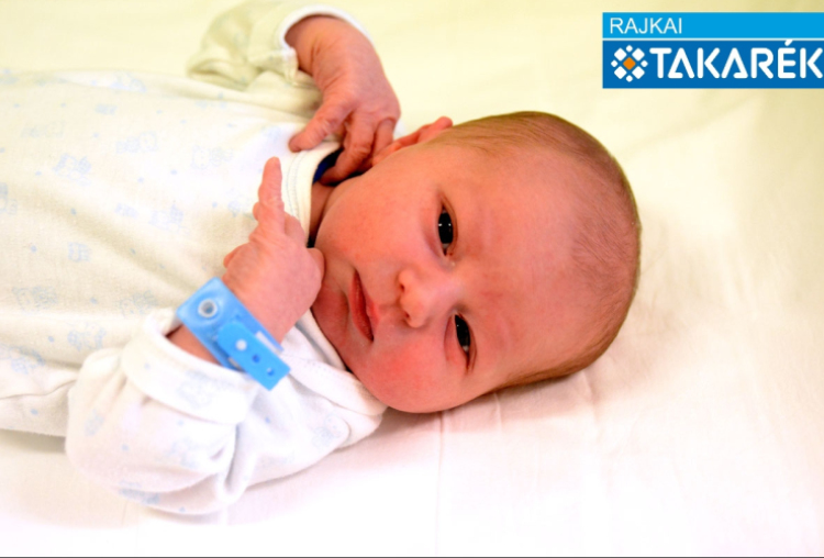 Wandraschek Bence, Mosonmagyaróvár