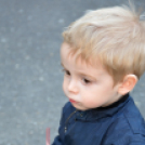 Városi Majális 2016 (Fotó: Bánhegyi István)