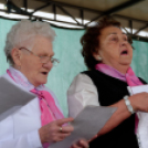 Erzsébet napi vigalom (fotó: Horváth Attila)