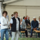 VÁROSKÖZPONTIAK NAPJA 2016, 2 nap (Fotó: Bánhegyi István)