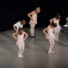 Jótékonysági Műsor