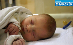 Lelkes Gréta, Mosonmagyaróvár