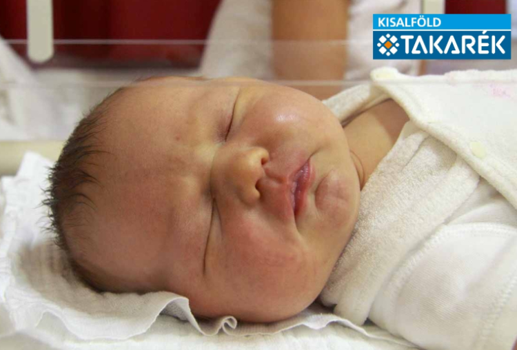 Fábri Tamara, Bezenye