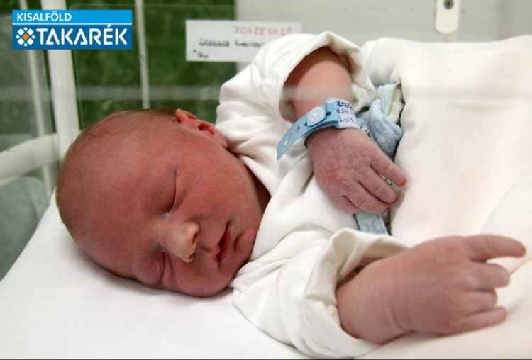 Balikó Benedek, Feketeerdő