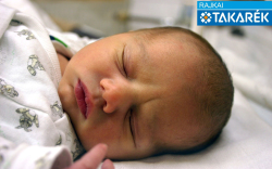 Donáth Lóránt, Mosonmagyaróvár