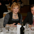 Virilista est 2015 Mosonmagyaróvár (Fotó: Horváth Attila)