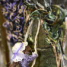 Megvalósult álmok című kiállítás