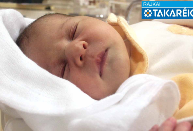 Budai Olívia, Darnózseli