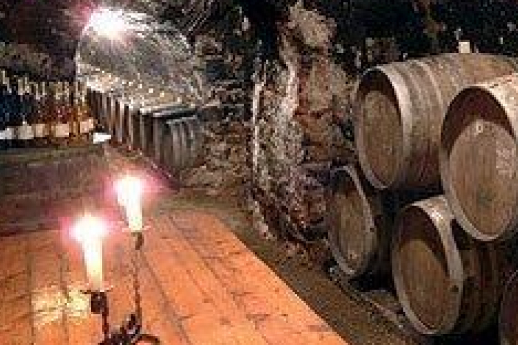 A mustgáz veszélyeire figyelmeztet a katasztrófavédelem