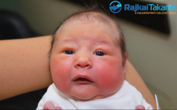 Tóth Kira, 3390 gr. Szárföld