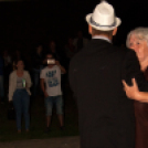 Szigetköz ízei, Vármegye borai Fesztivál - 1 nap