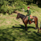 XII. Szigetköz ízei, Vármegye borai Fesztivál 2. nap