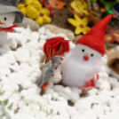 Apró kezek, csodakertek kertépítő verseny (Fotó: Horváth Attila)