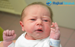 Ács-Molnár Adél, 3318 gr. Osli