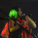 XII. Szigetköz ízei, Vármegye borai Fesztivál 2. nap