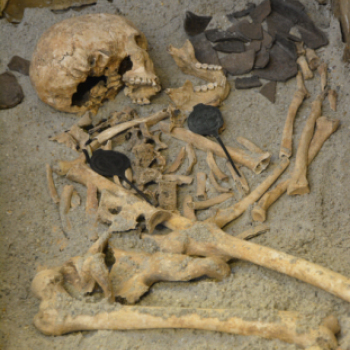 Sőtér kiállítás (Fotó: Nagy Mária)