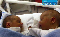 Varga Ákos, Varga Áron, Bősárkány