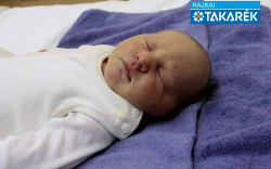 Kiss Bodza Gerda, Levél