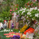 Legszebb konyhakertek (Fotó: Nagy Mária)