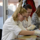 VÁROSI MIKULÁS NAP