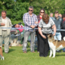 CAC kutyakiállítás (Fotó: Nagy Mária)