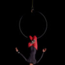 Mosonmagyaróvári Kossuth Lajos Gimnázium: 