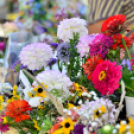 KULT-UTCA - Prózai líranap