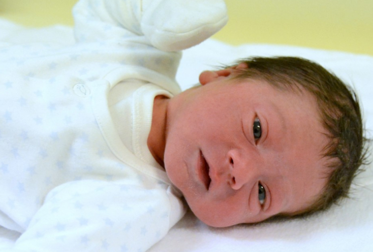 Vitéz Dávid, Mosonmagyaróvár