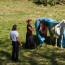 XII. Szigetköz ízei, Vármegye borai Fesztivál 2. nap
