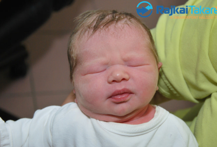 Kobli Kamilla, 3100 gr. Bezenye