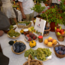 Termény- és virágkiállítás 