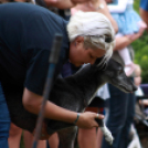 XI. Szigetköz ízei, Vármegye borai Fesztivál 3. nap