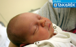 Petrovics Zoé, Mosonmagyaróvár