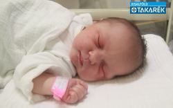 Szűcs Lana Zoé, Mosonszolnok