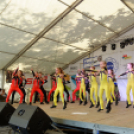 Szigetköz ízei, vármegye borai fesztivál / VÁRMEGYE SZÉPE - VÁRMEGYE HANGJA (Fotó: Horváth Attila)