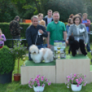 CAC kutyakiállítás (Fotó: Nagy Mária)